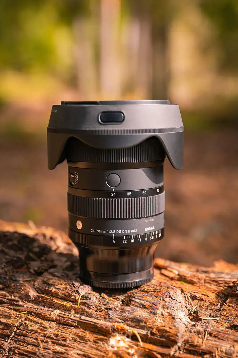 Centered Image