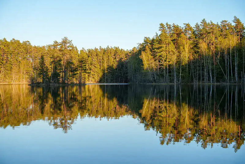 Centered Image