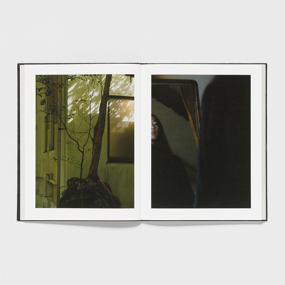 Spread from the book "Songen" by Julia Hetta: small tree beside a wall with sunlight patterns; opposite page shows a dim reflective portrait.