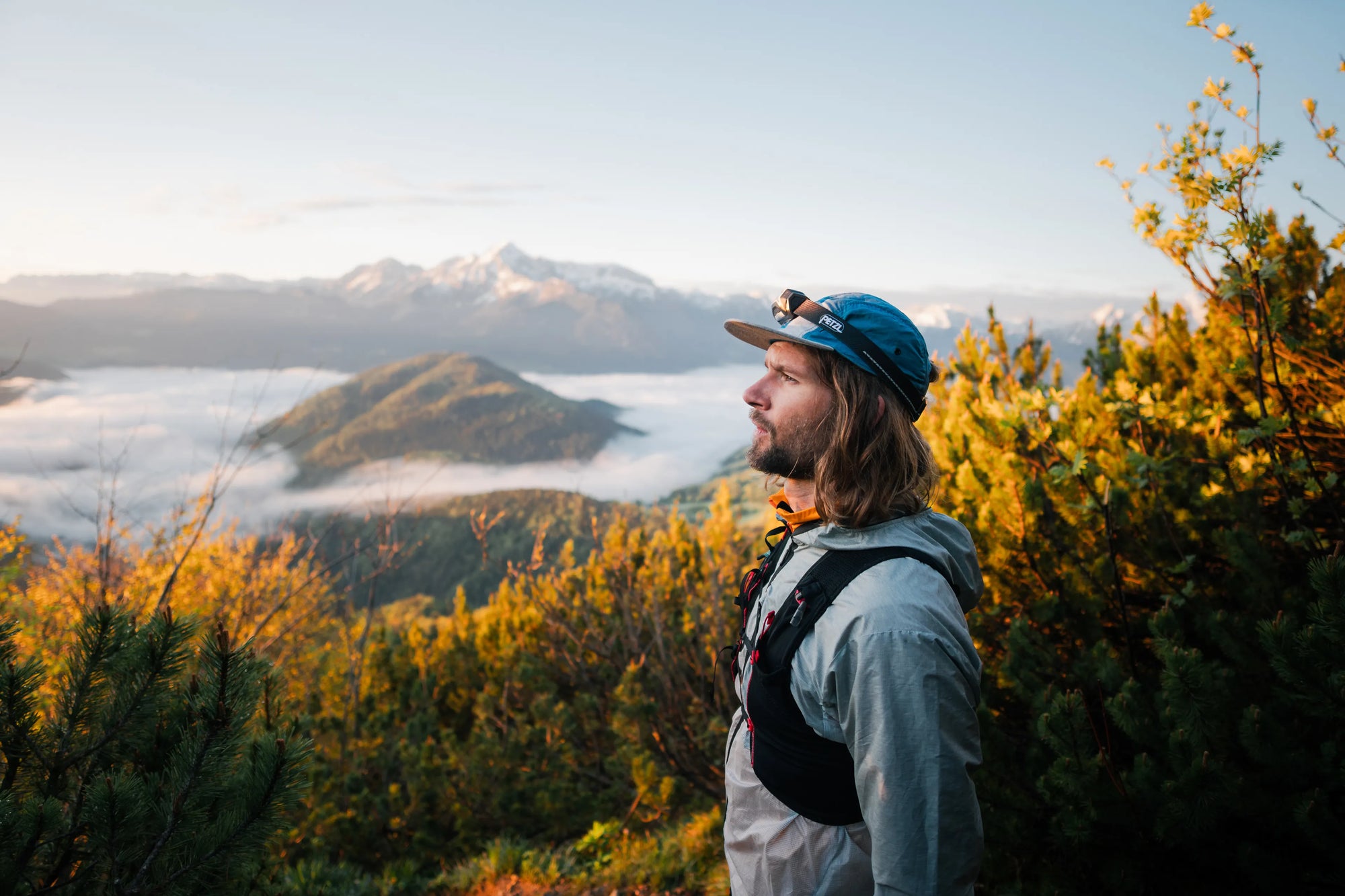 Full width image