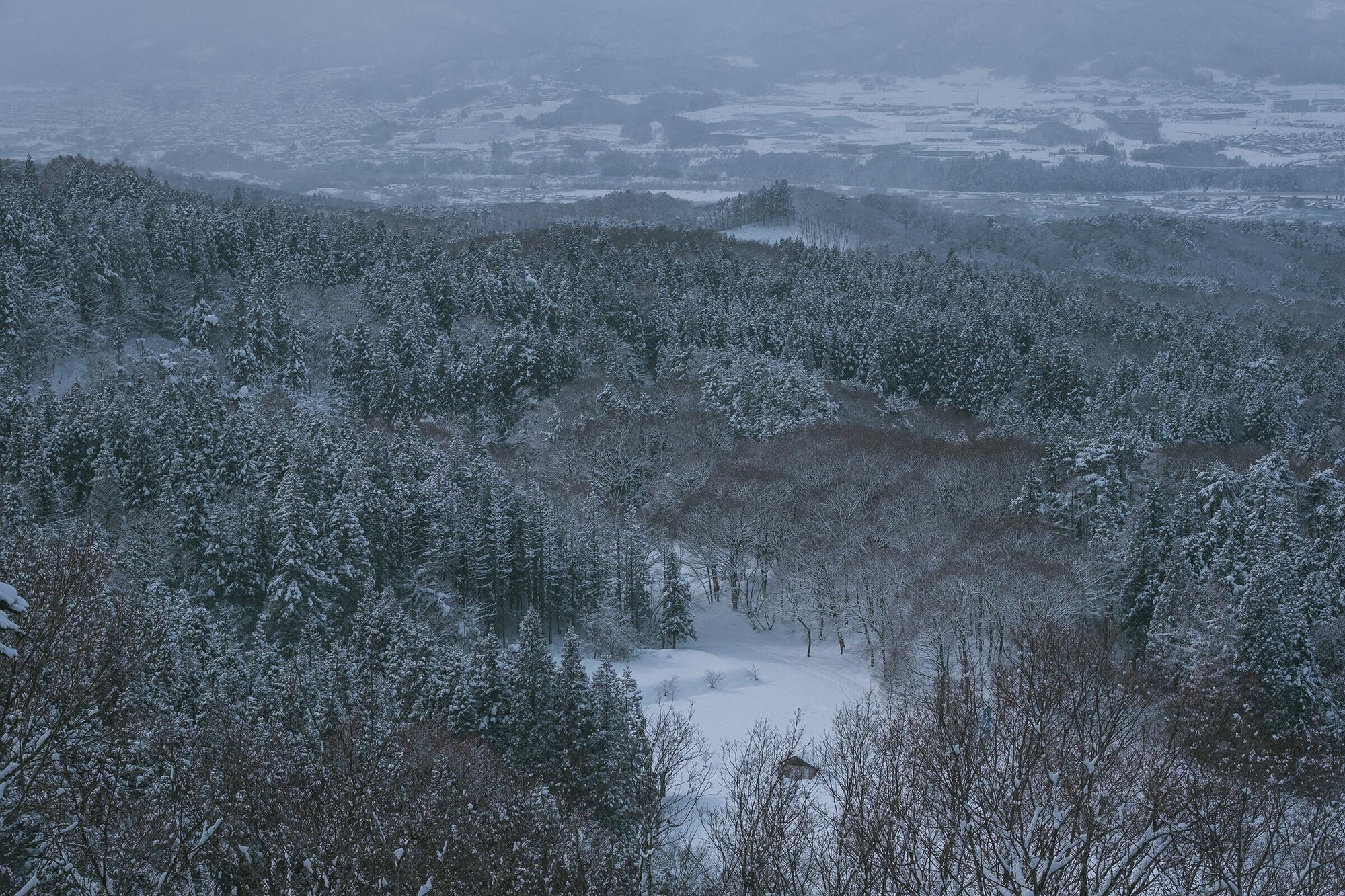 Full width image