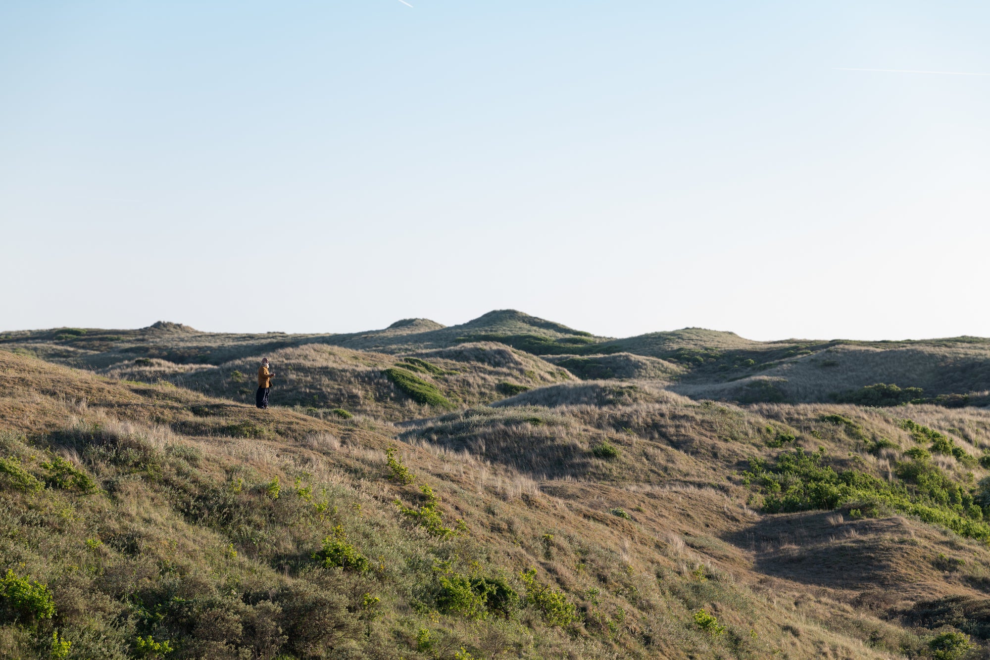 Full width image