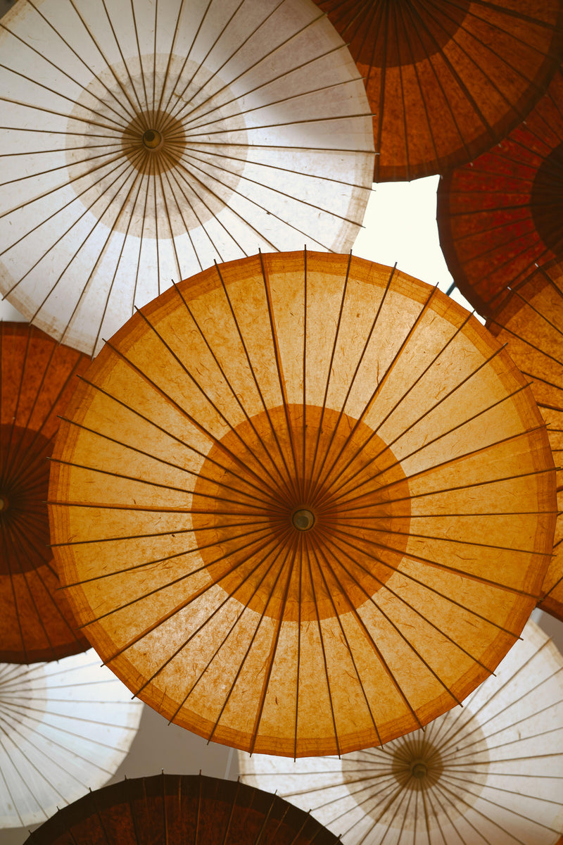 Centered Image