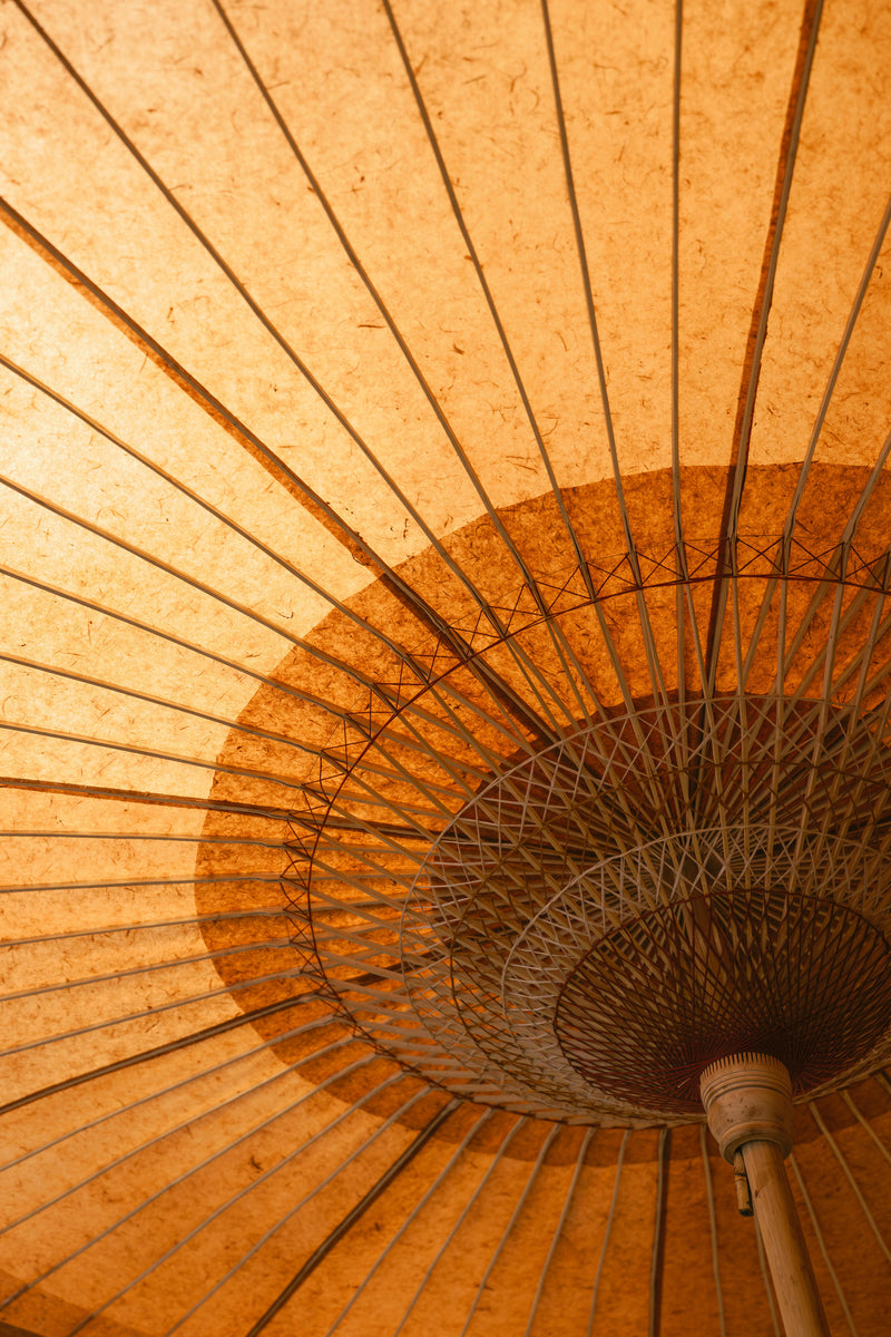 Centered Image