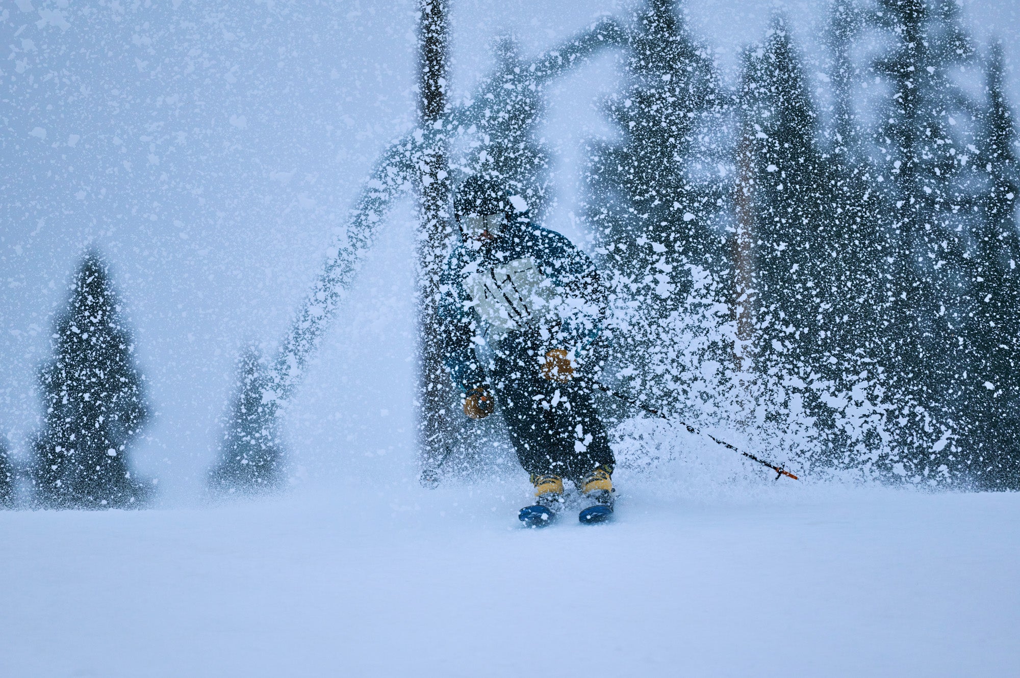 Full width image