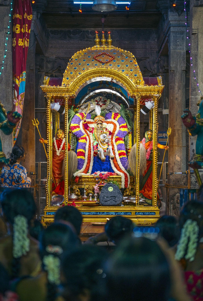 Centered Image