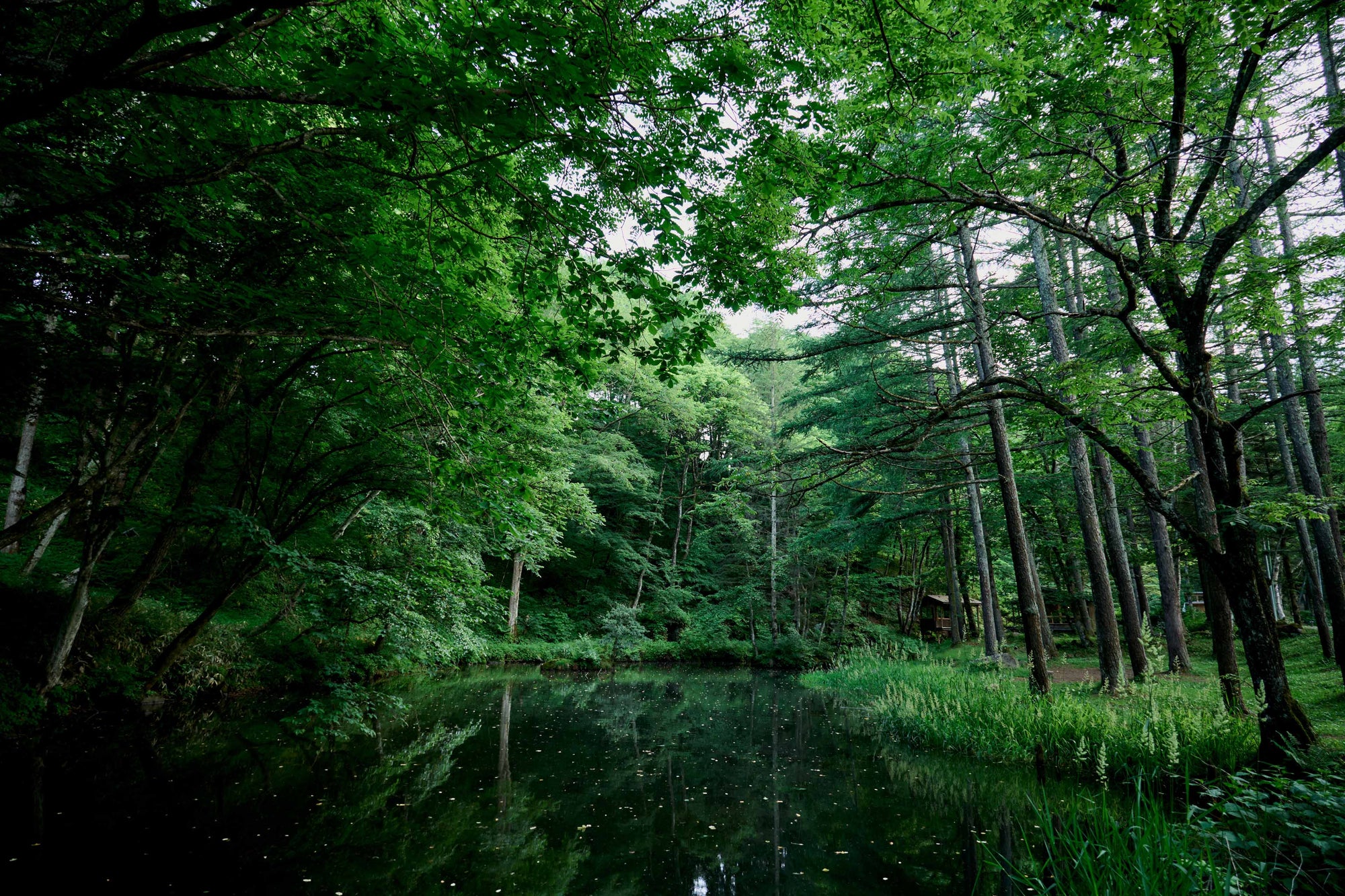Full width image