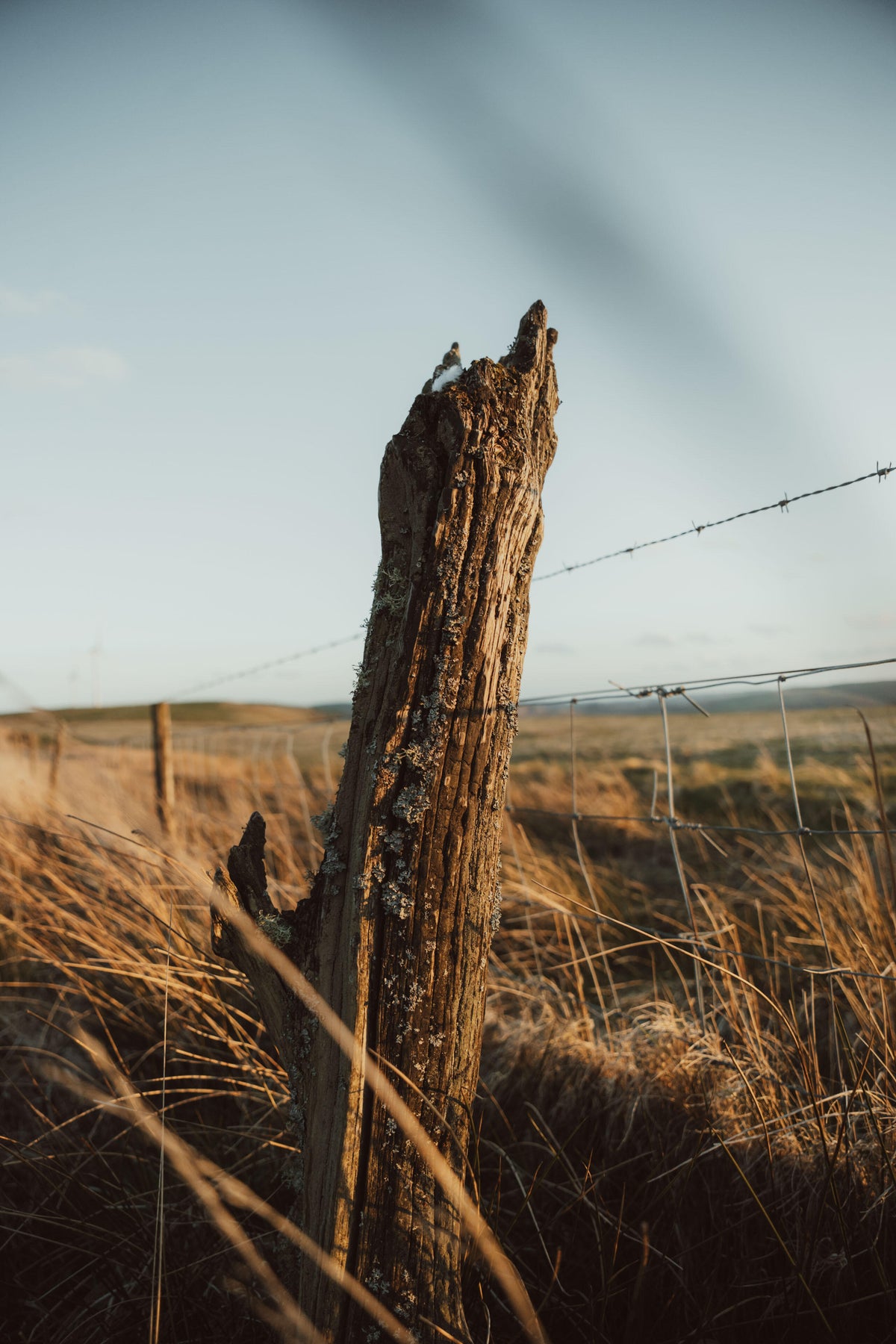 Full width image