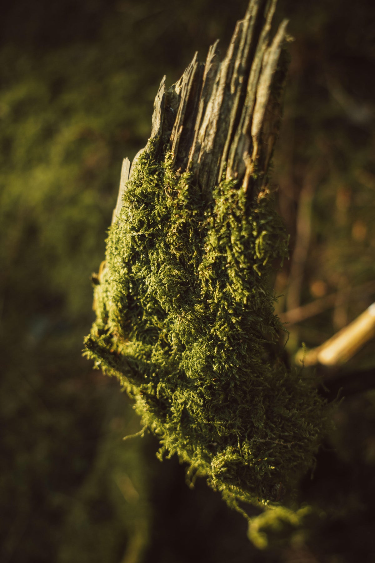 Full width image