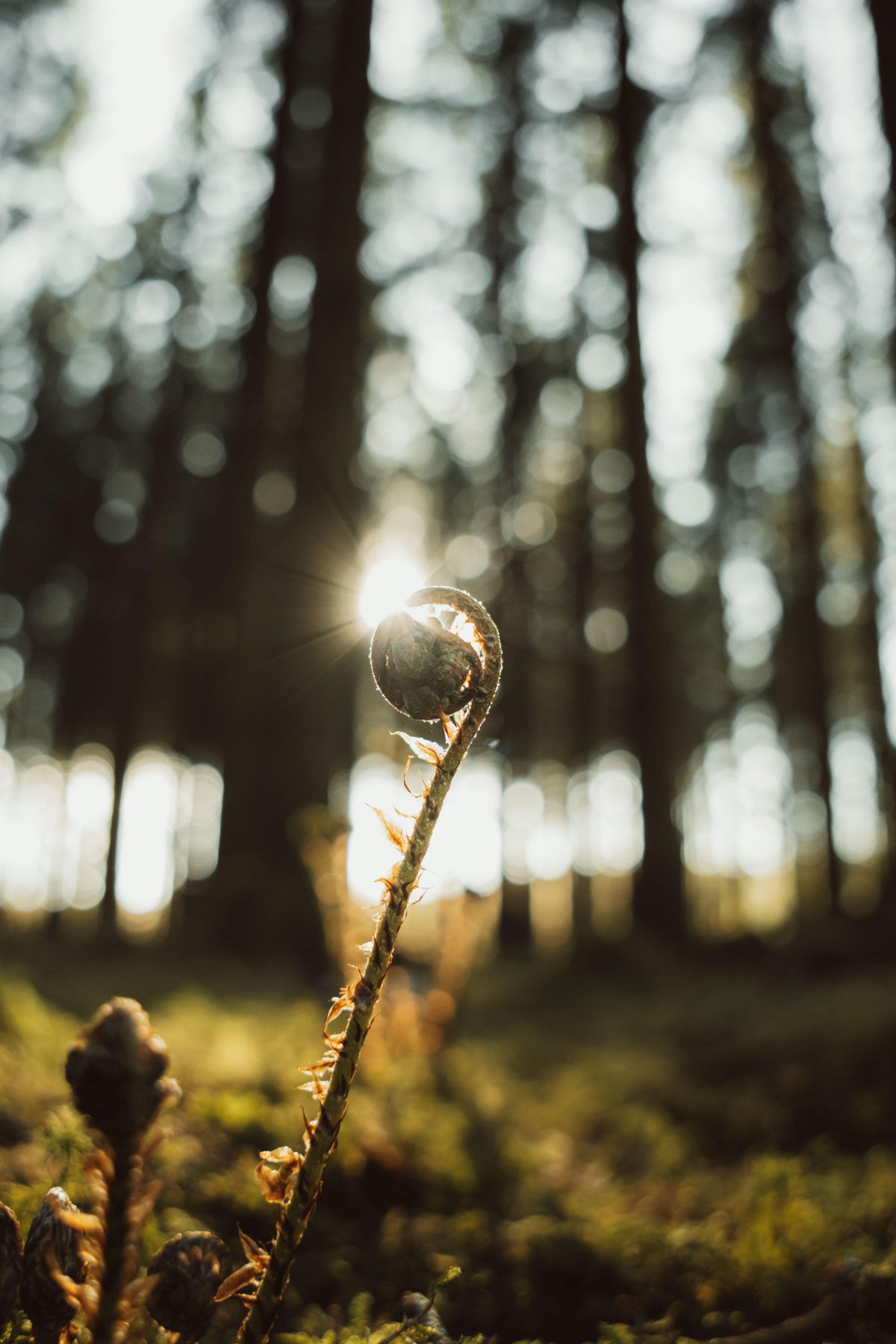 Full width image