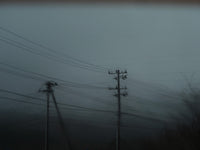 Utility poles and power lines crossing a misty, muted landscape under an overcast sky.