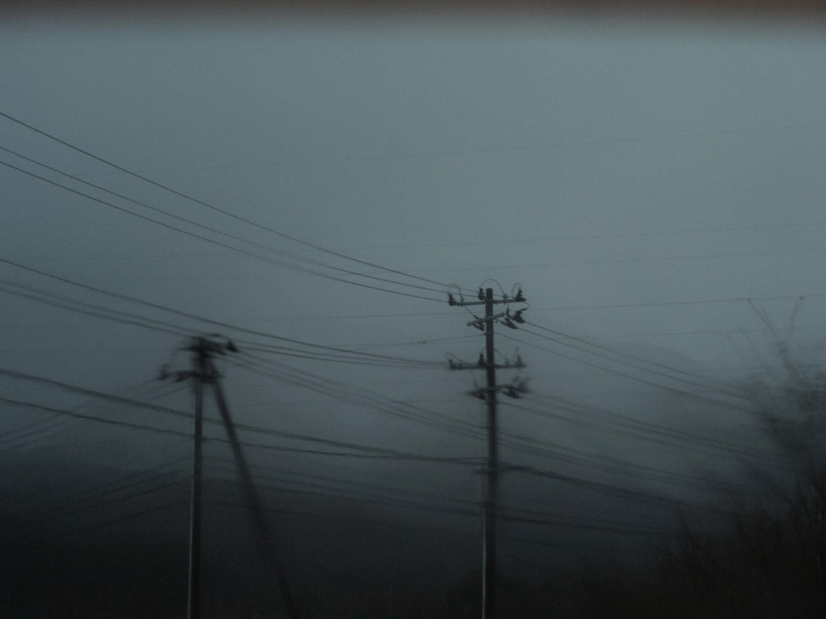 Utility poles and power lines crossing a misty, muted landscape under an overcast sky.