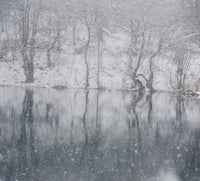 Snow-covered trees reflected in still water during heavy snowfall.