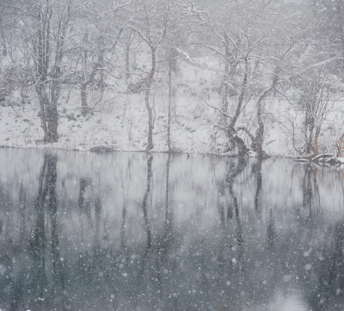 Snow-covered trees reflected in still water during heavy snowfall.
