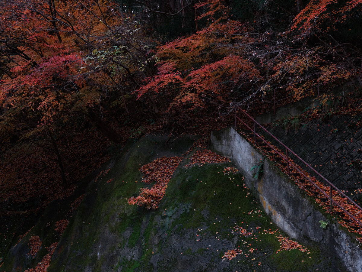Paesaggio autunnale ad Aizu, con alberi dalle foglie rosse e arancioni, rocce ricoperte di muschio e una scalinata con corrimano.