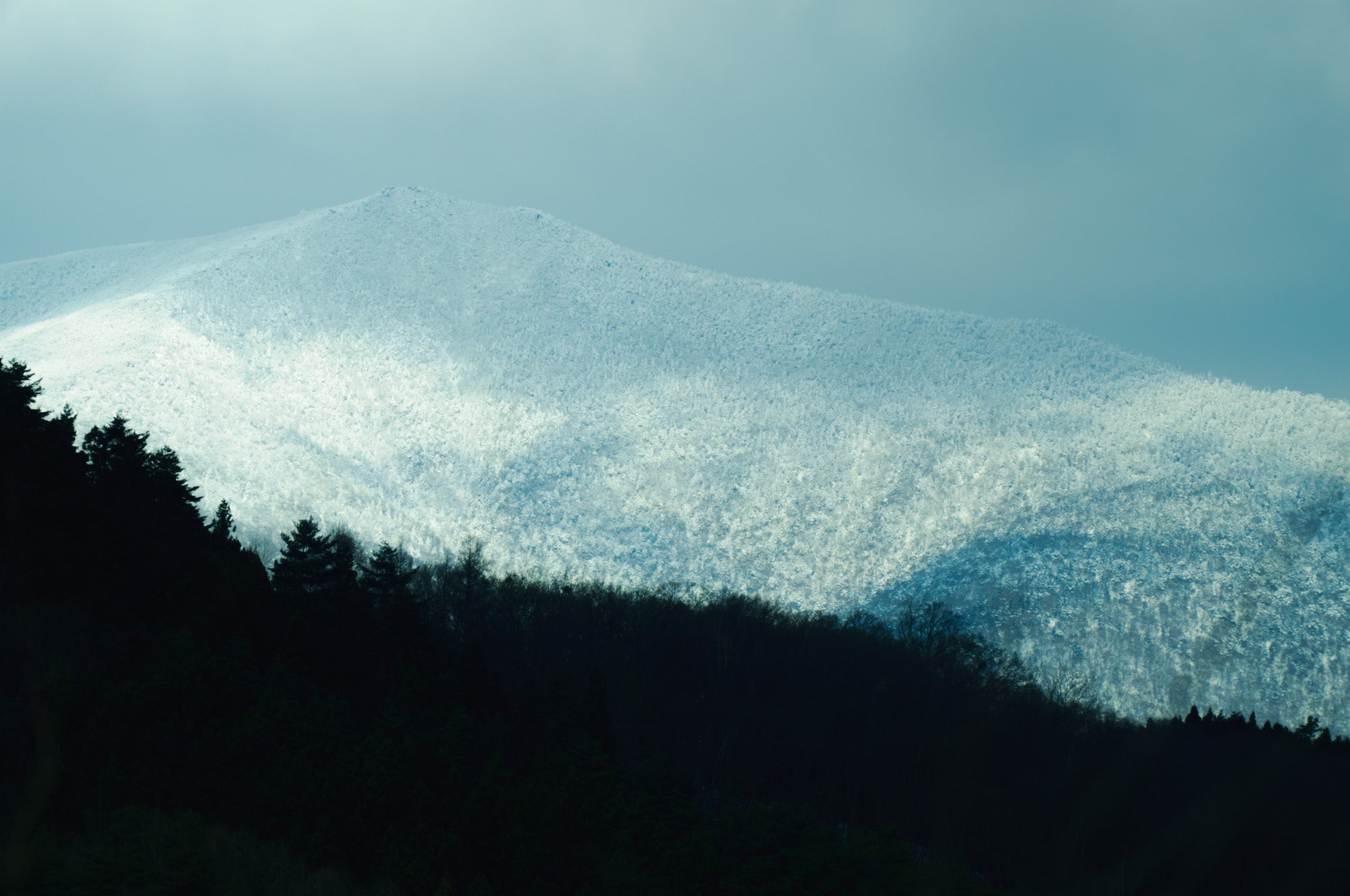 Full width image