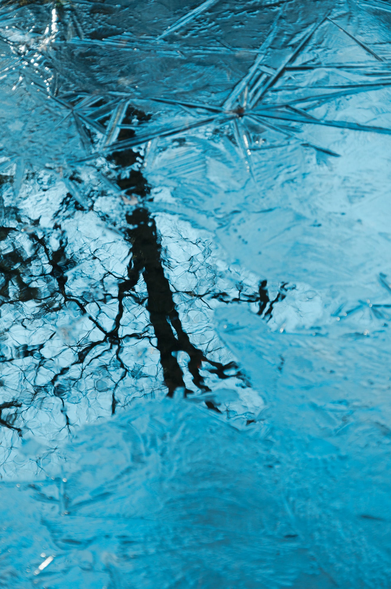 First Image