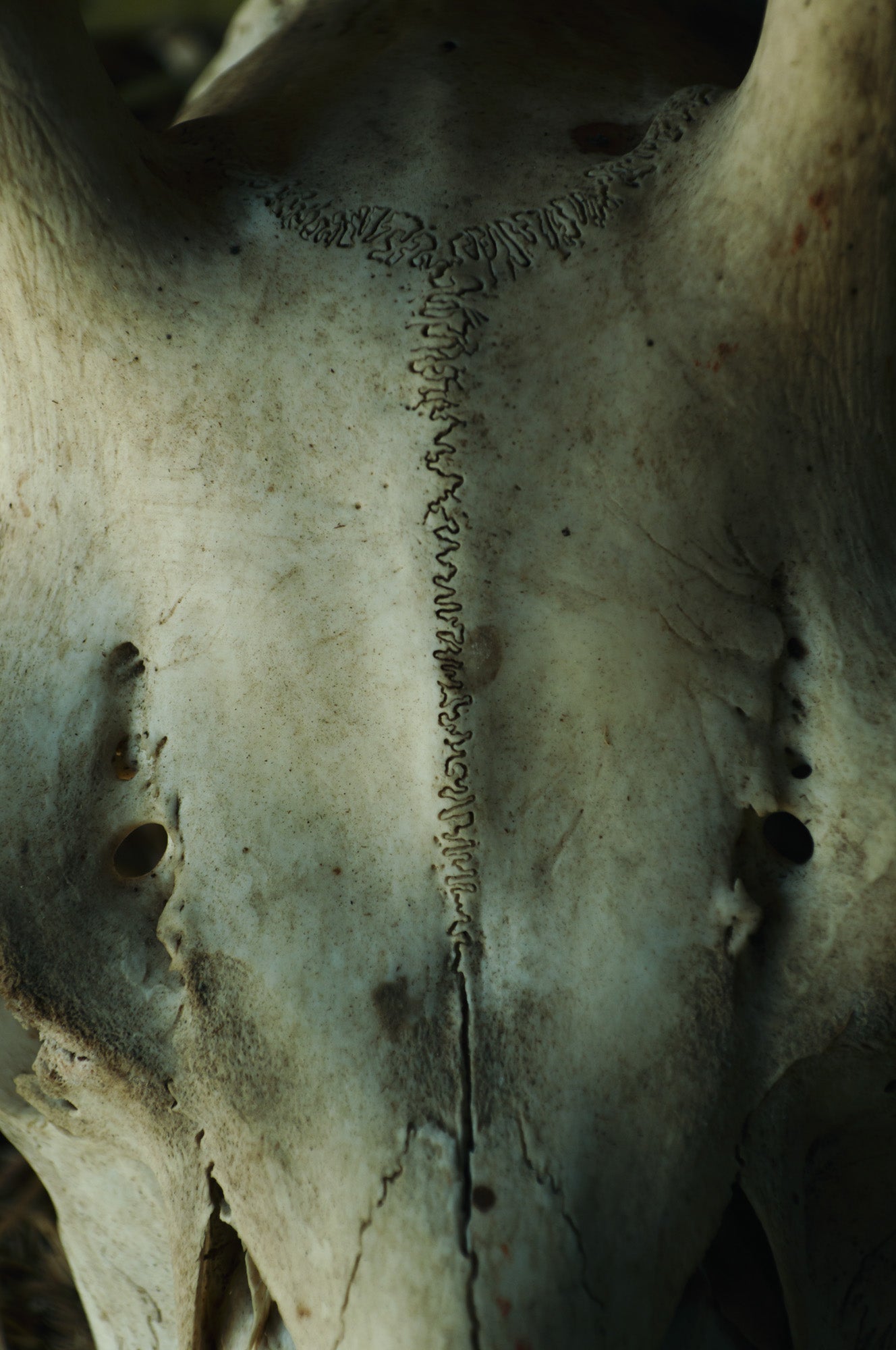 Second Image