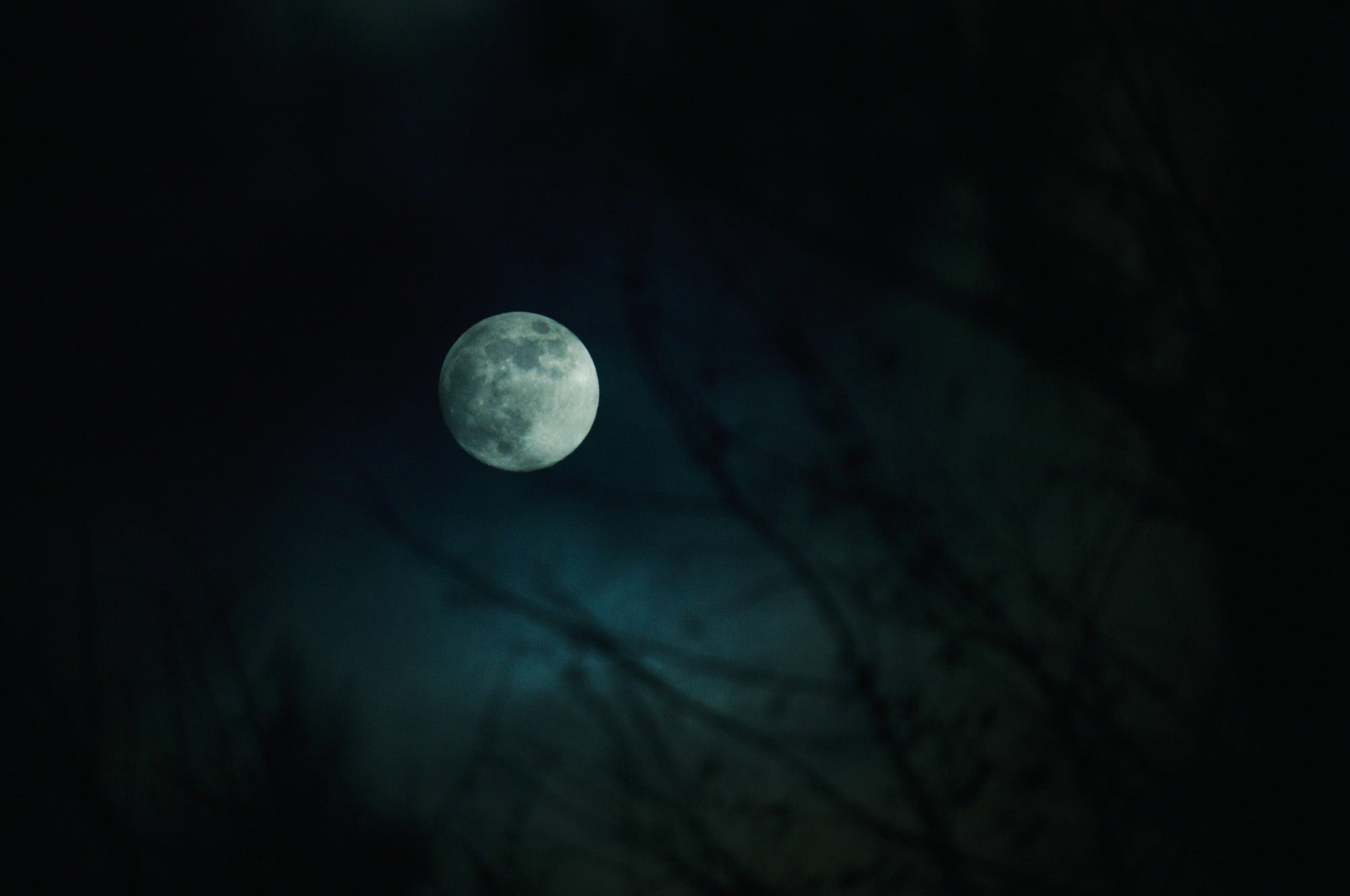 Full width image