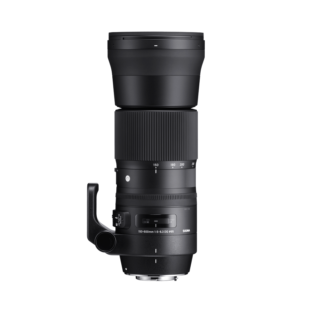 150-600mm F5-6.3 DG OS HSM (C)