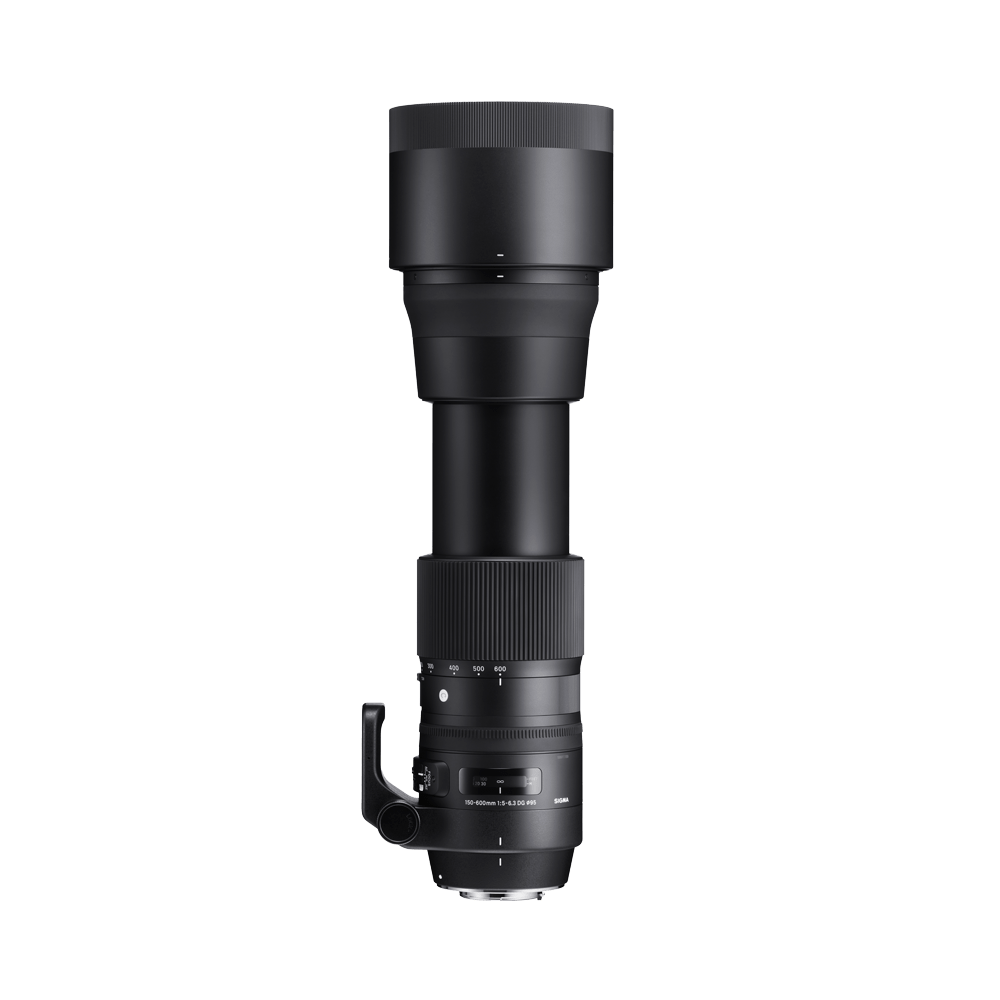 150-600mm F5-6.3 DG OS HSM (C)