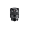 24mm F1.4 DG DN