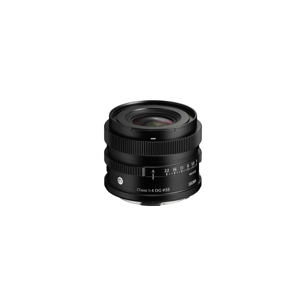17mm F4 DG