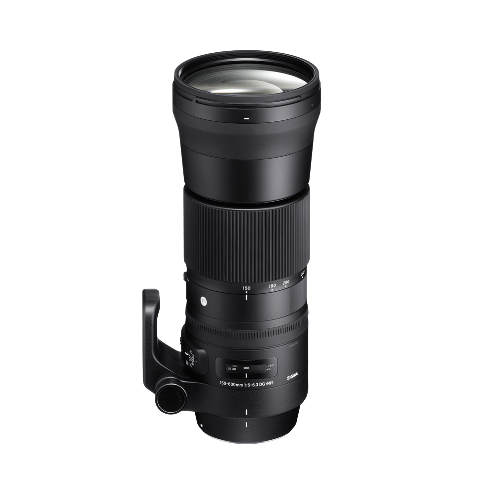 150-600mm F5-6.3 DG OS HSM (C)