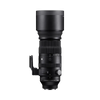 150-600mm F5-6.3 DG DN OS