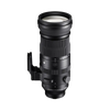 150-600mm F5-6.3 DG DN OS
