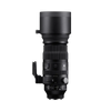 150-600mm F5-6.3 DG DN OS