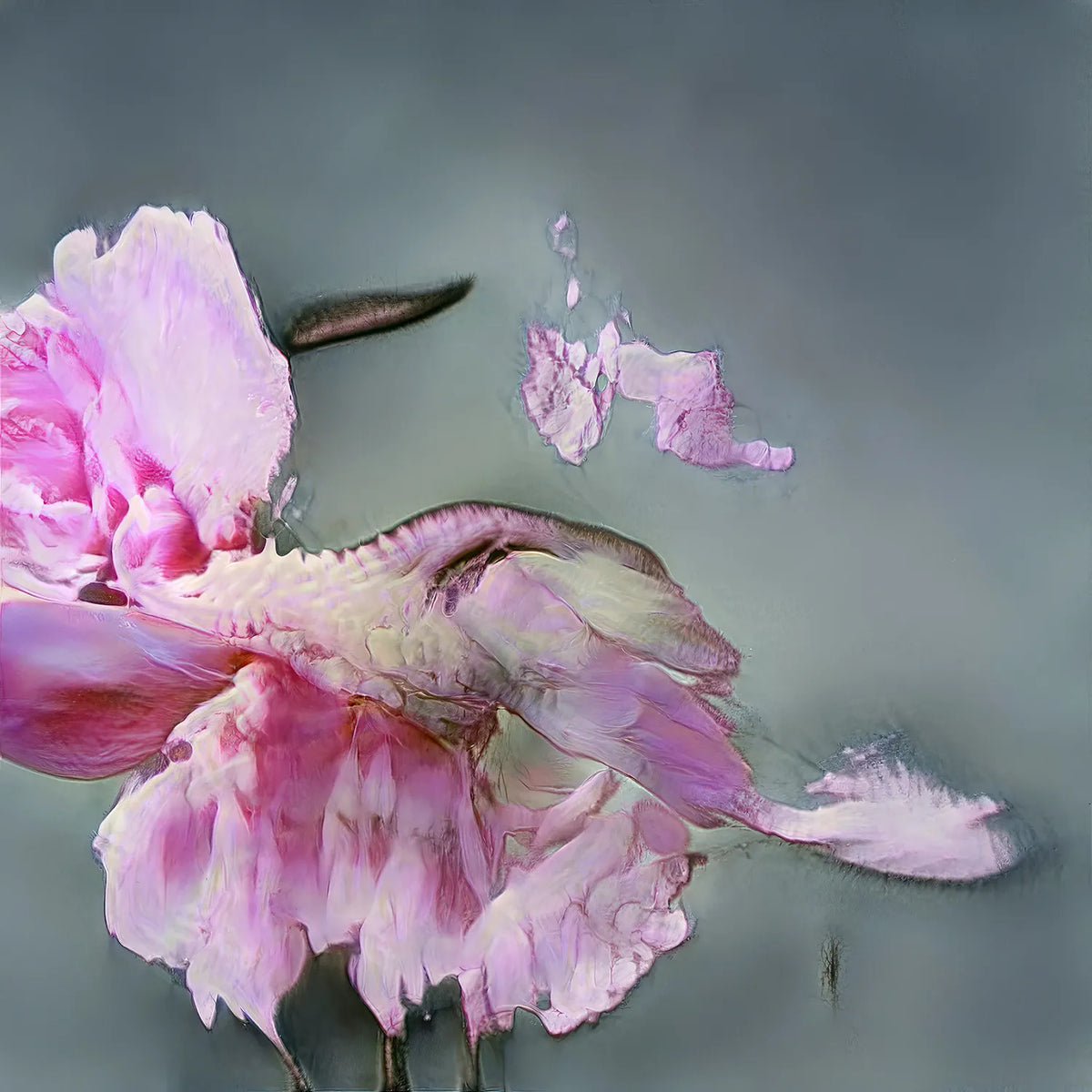 Composizione floreale astratta rosa e lilla, con petali frammentati e forme allungate sospese su sfondo grigio.