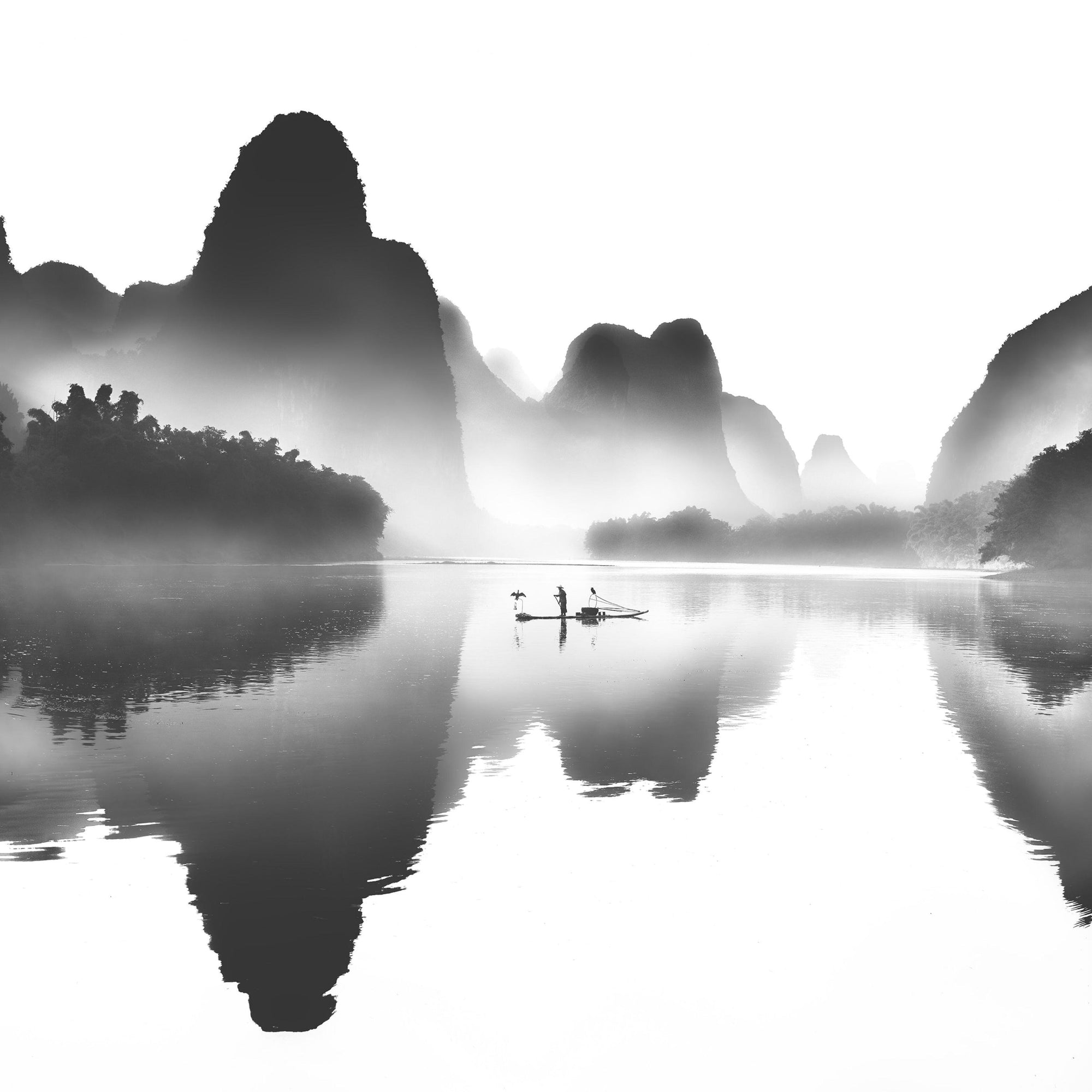 Full width image